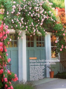 magazines 013