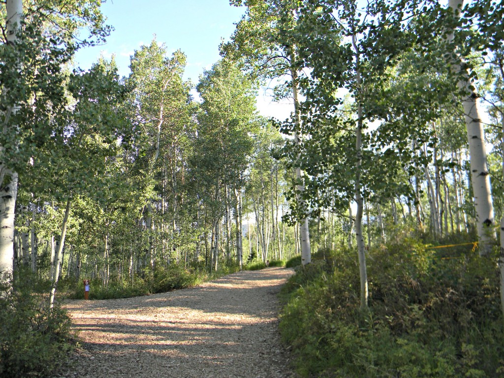 girls camp trails