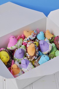 bunnies 2
