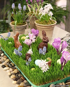 bunnies 7