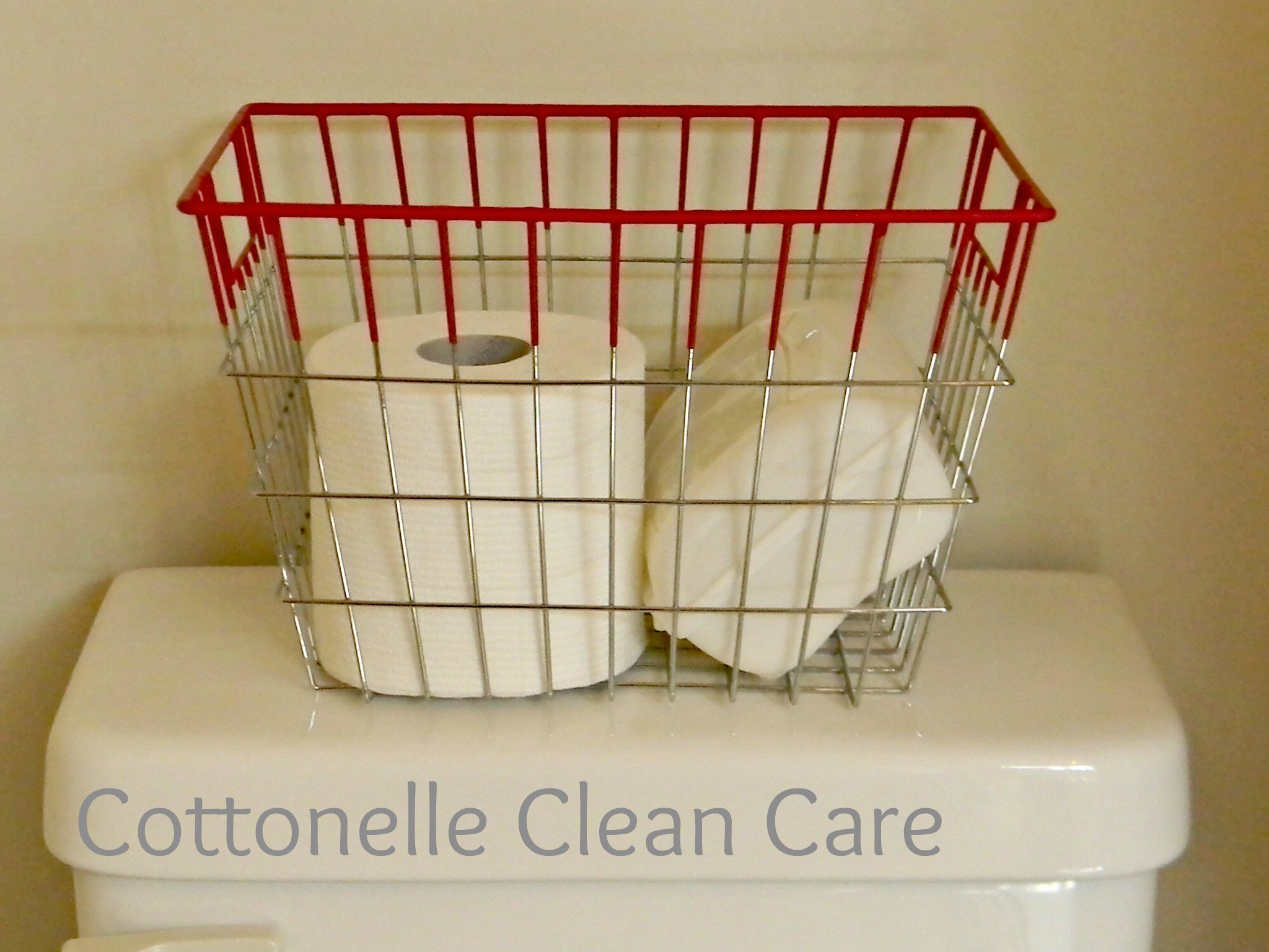 Test Your Cleaning Logic with Cottonelle Clean Care - Take 2 ...