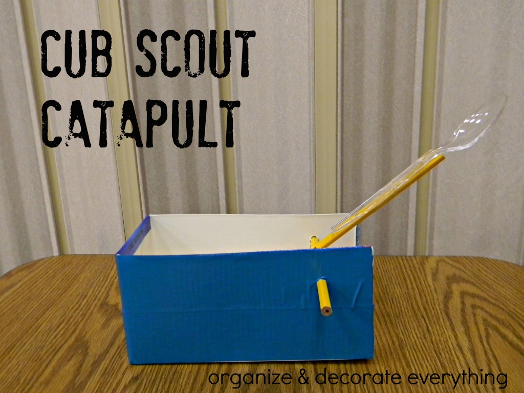 Cub Scout Catapult