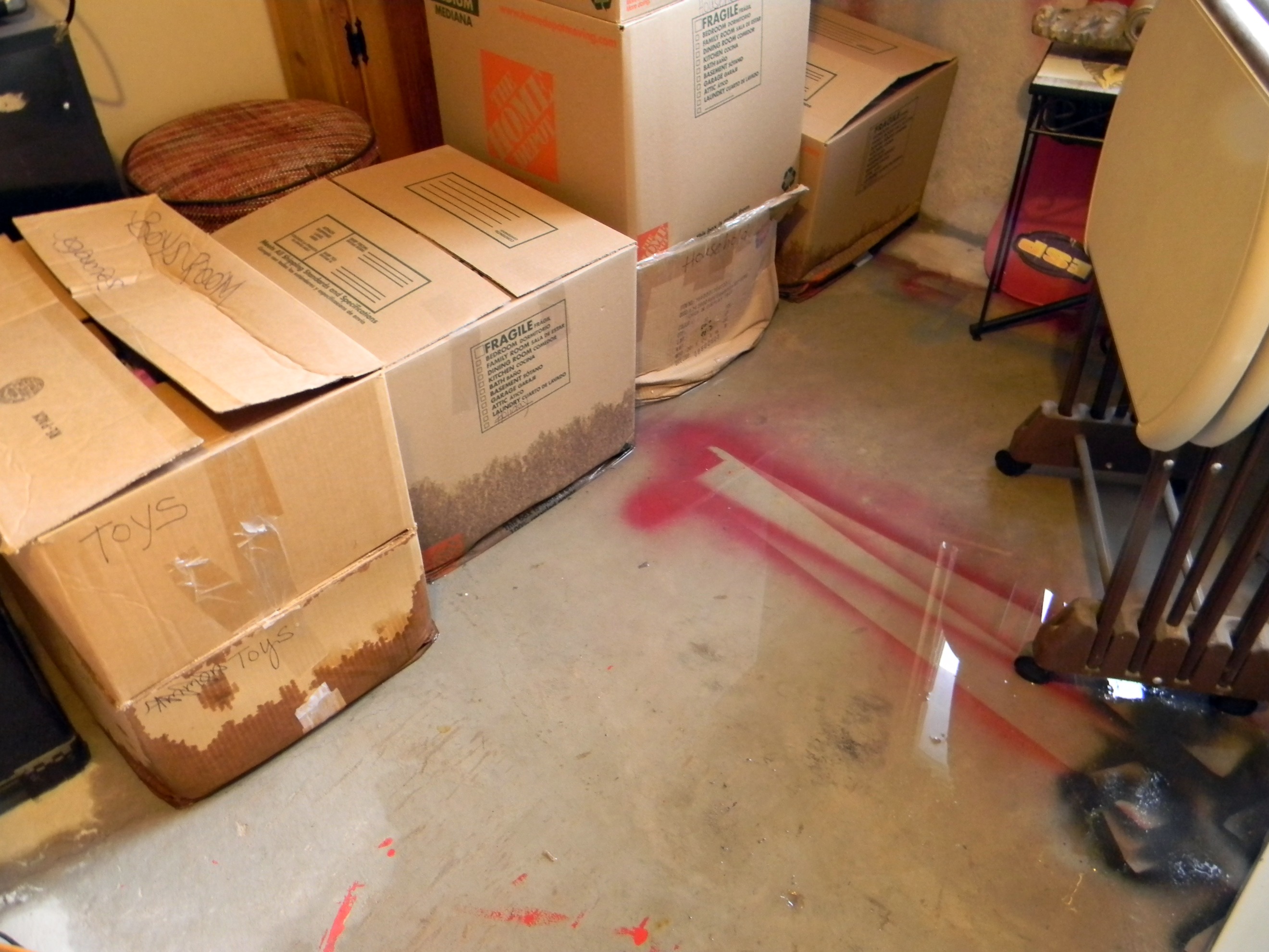 Not What I Had Planned For Today Organize and Decorate Everything