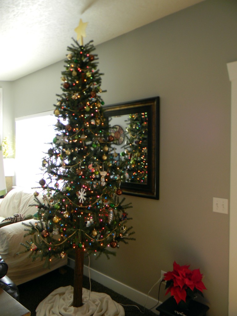 Natural/Outdoorsy/Woodsy Christmas Decor - Organize and Decorate