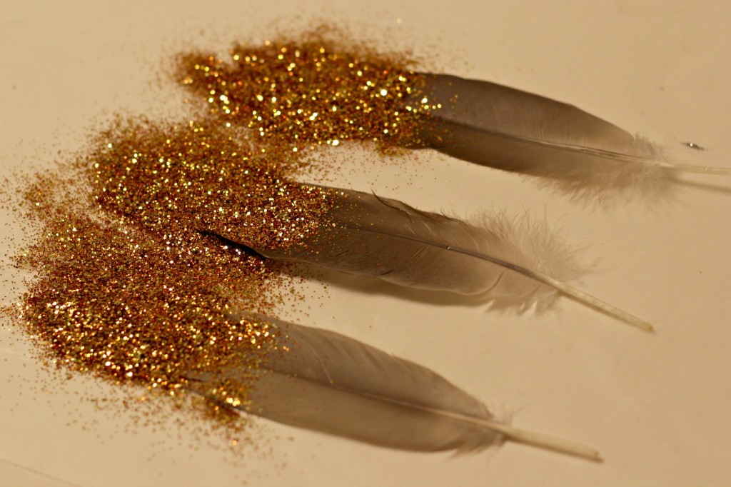 glitter tipped feathers 3