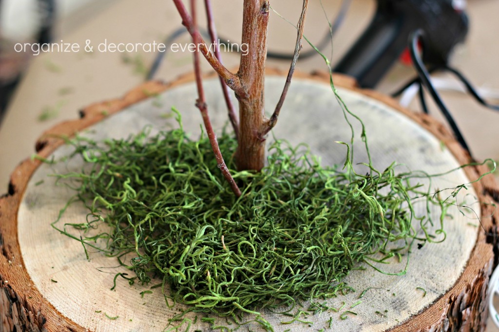 Trunk SLice and Branch Natural Centerpiece 4.1