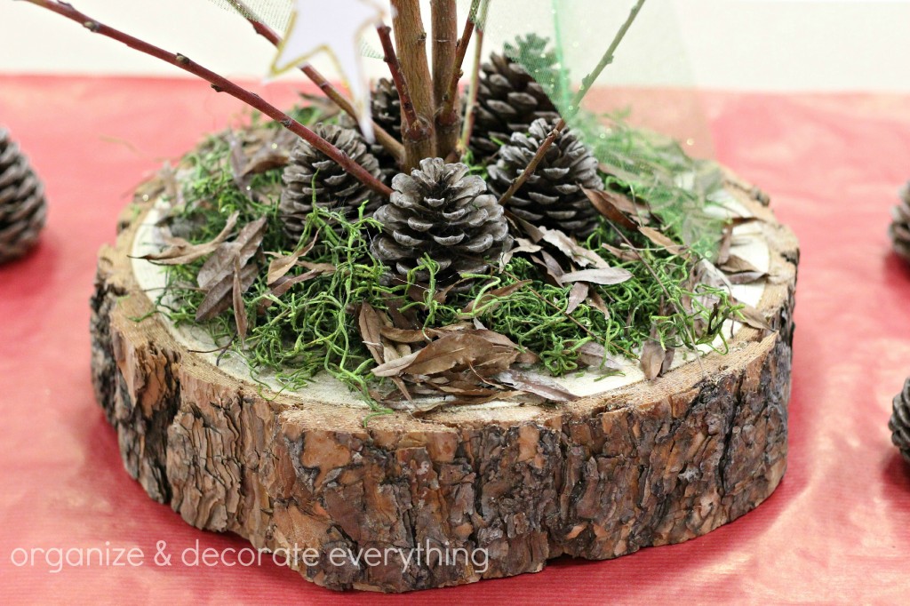 Trunk Slice and Branch Natural Centerpiece 6.1