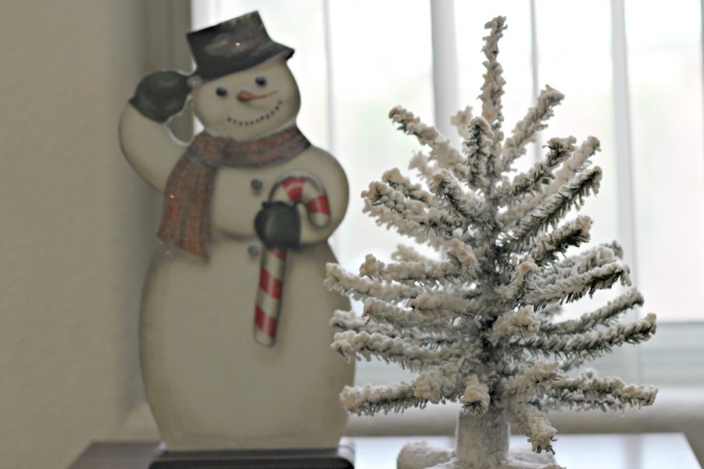 Winter decor 14