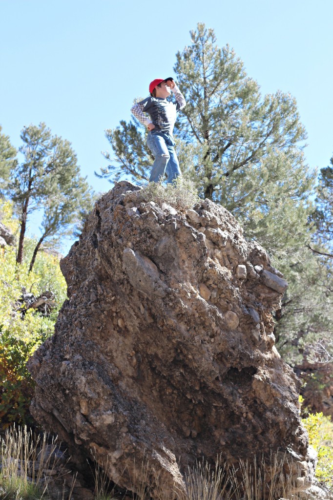 Mount Charleston 2013