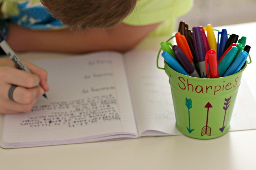 Reading Log Book with Sharpie 4