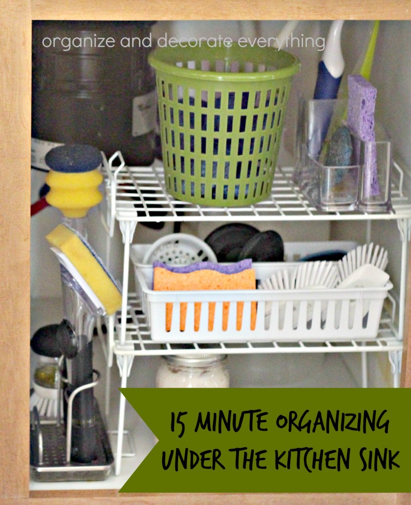 15 Minute Organizing Under the Kitchen Sink