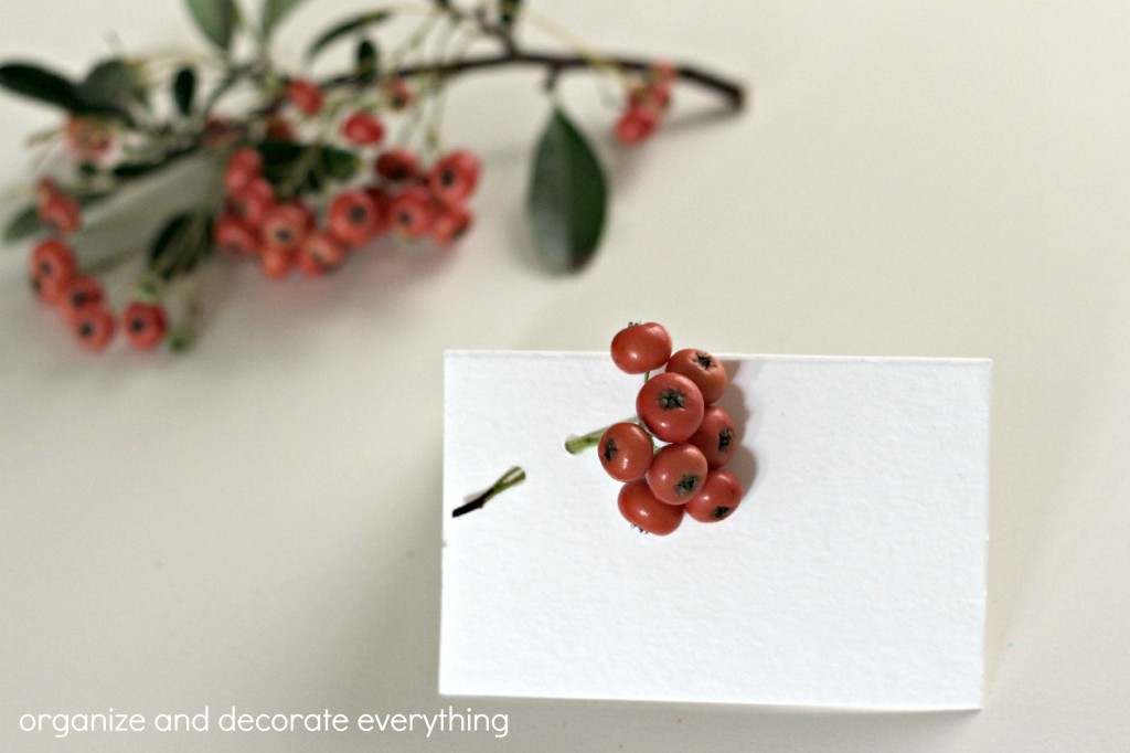 Berry Place Cards 5.1