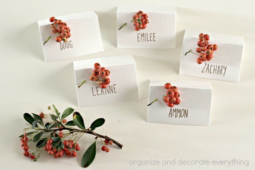 Berry Place Cards 6.1