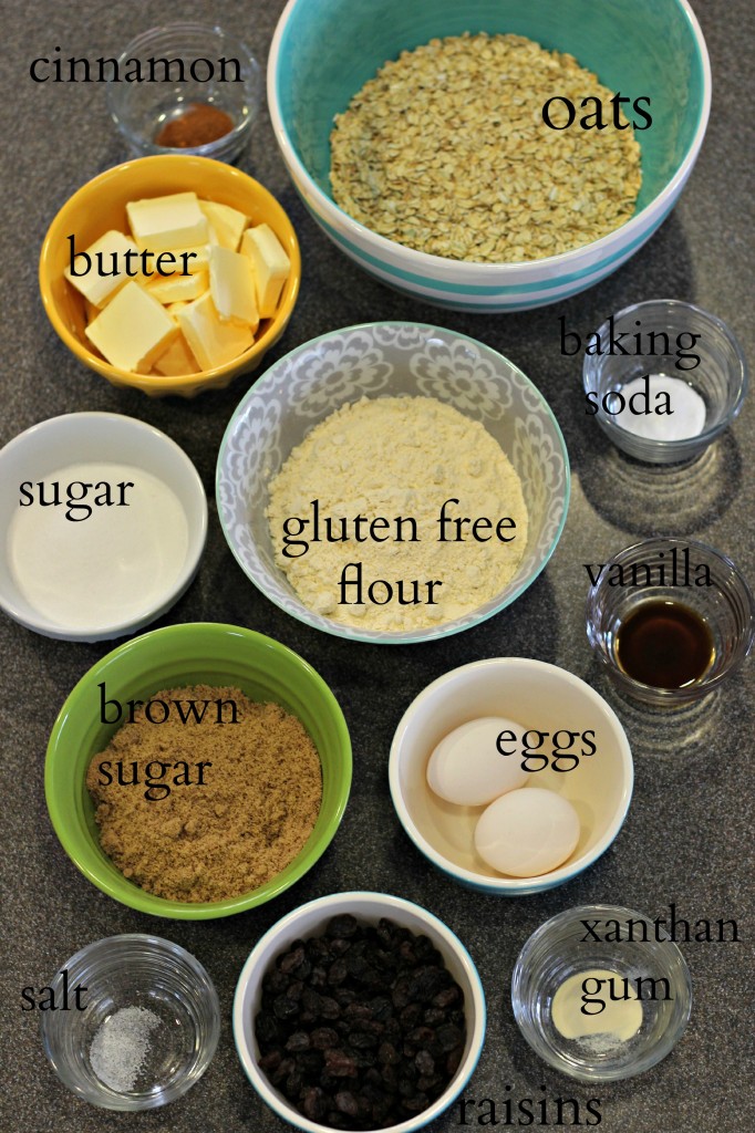Gluten Free Oatmeal Raisin Cookies 3