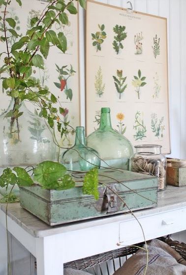 How to Decorate with FLorals - botanicals