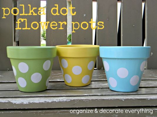 Pots Polka Dot