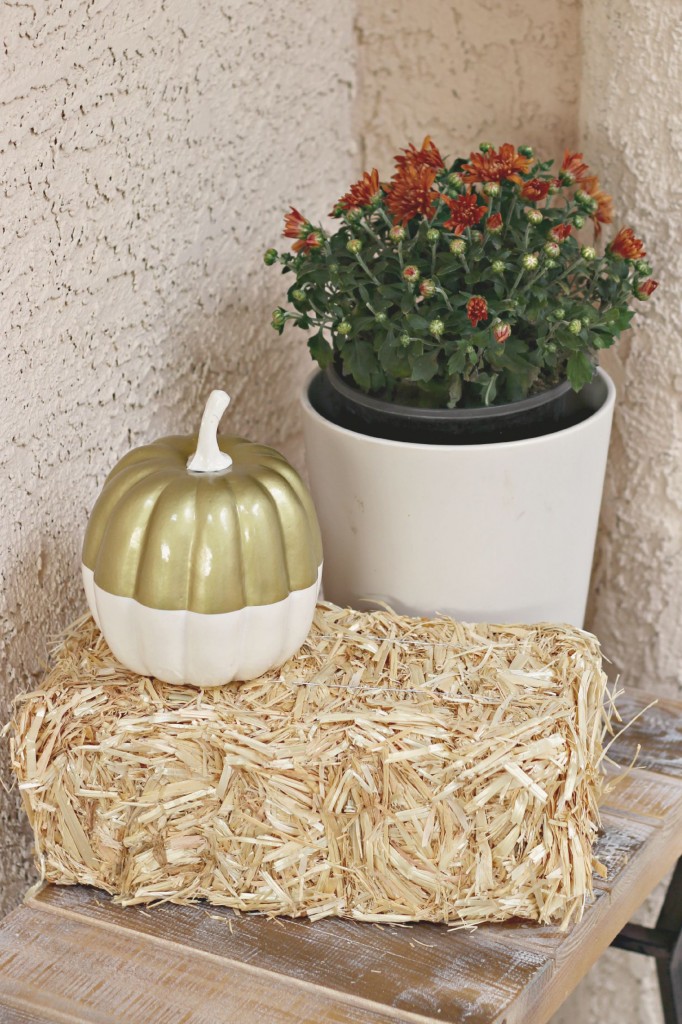 Front Porch mums and hay