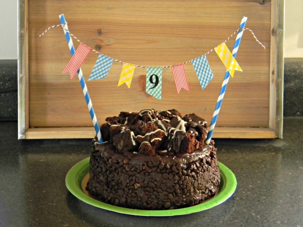 Birthday Cake Banner 5