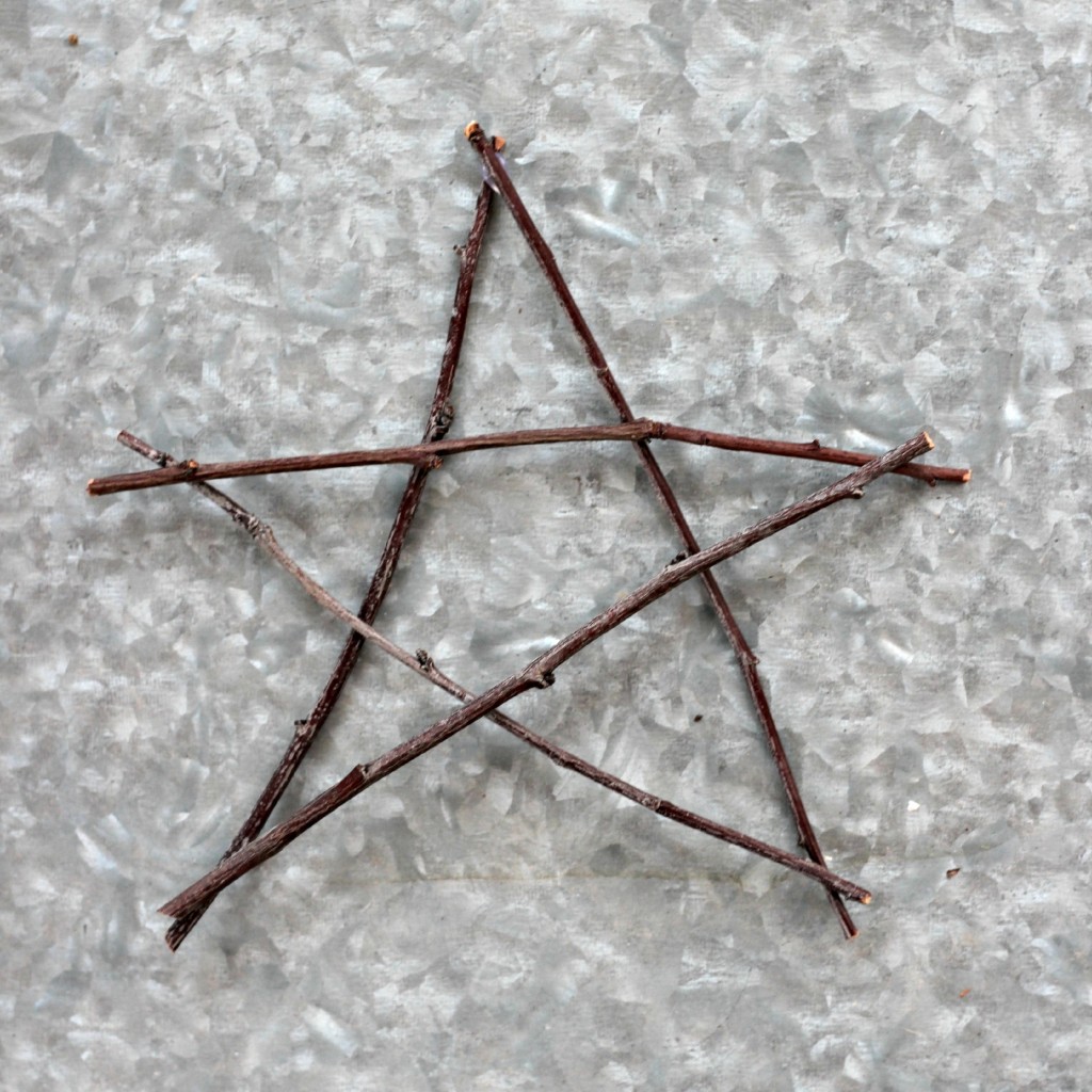 Twig Stars.1