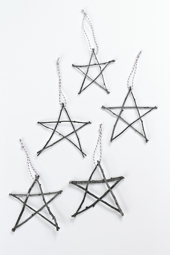 Twig Stars.6