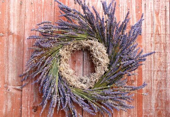 Wreath Lavender