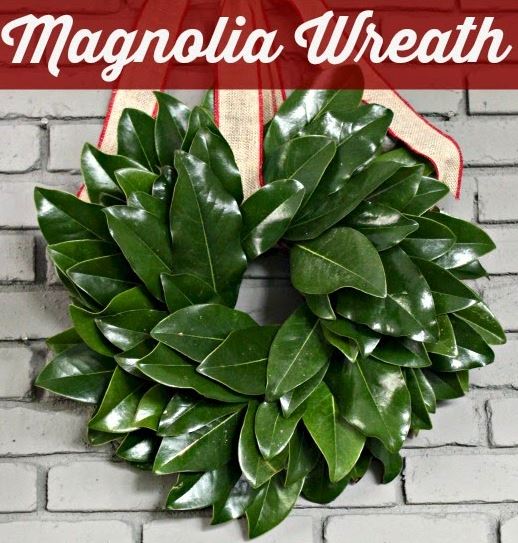 Wreath Magnolia