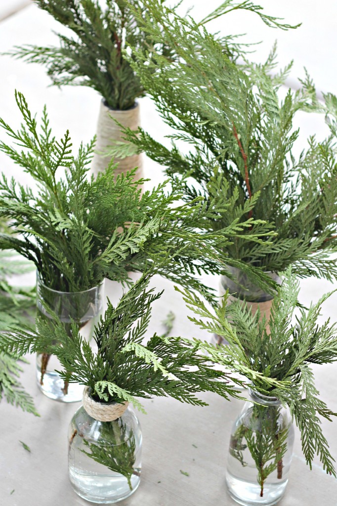 Pine Boughs arranged in clear jars