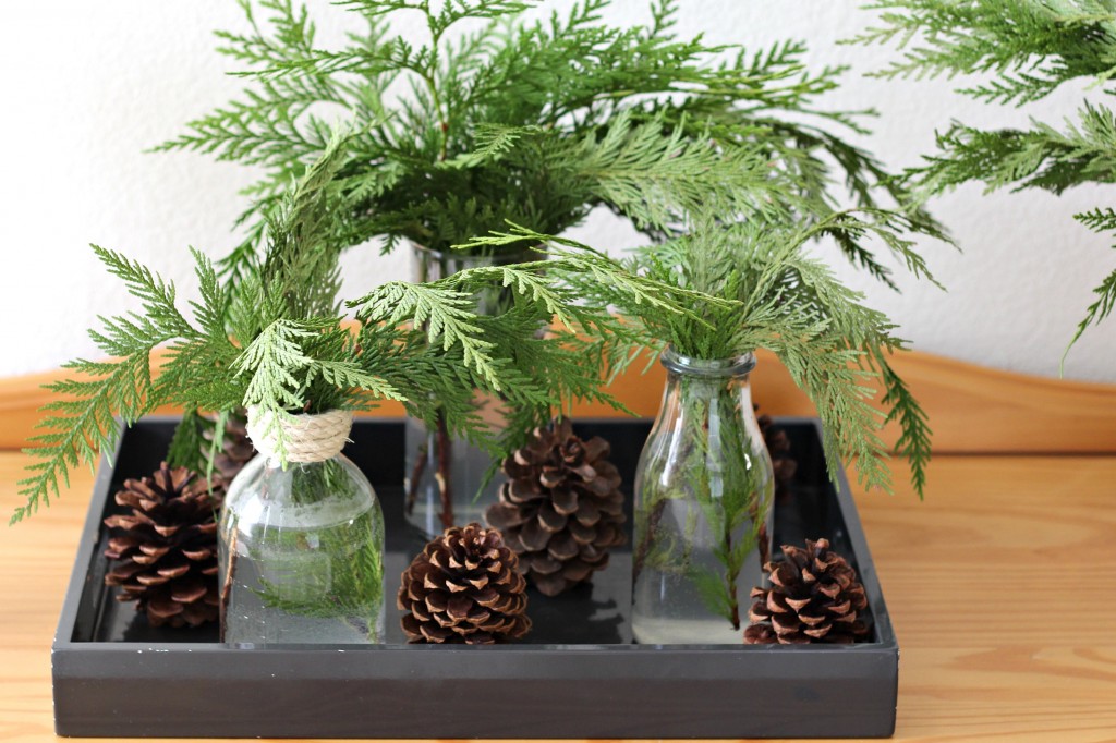 Pine Boughs, fresh cut in glass vases arrangement