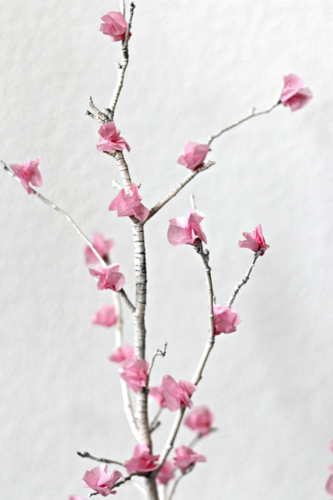 Flower Blossom Branches pink