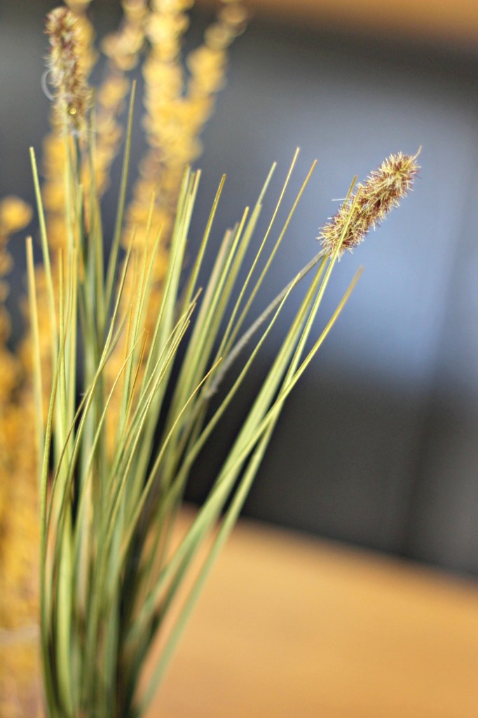 Centerpiece grasses