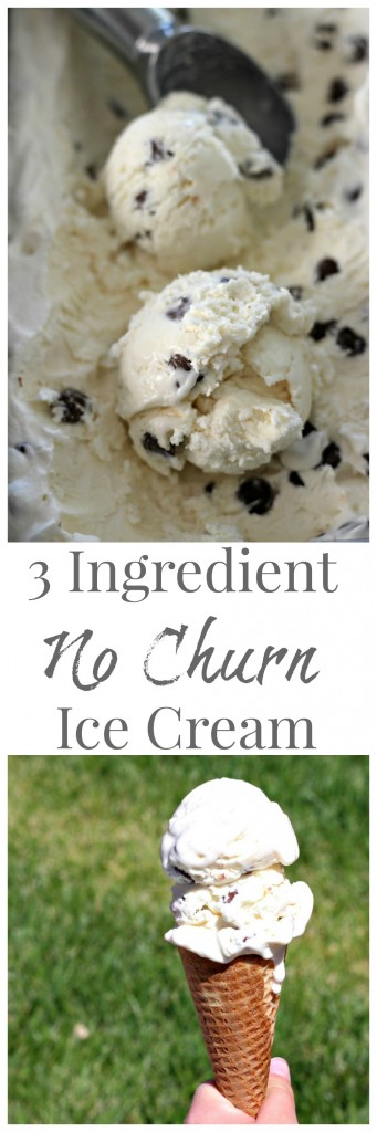 3 ingredient No Churn Ice Cream