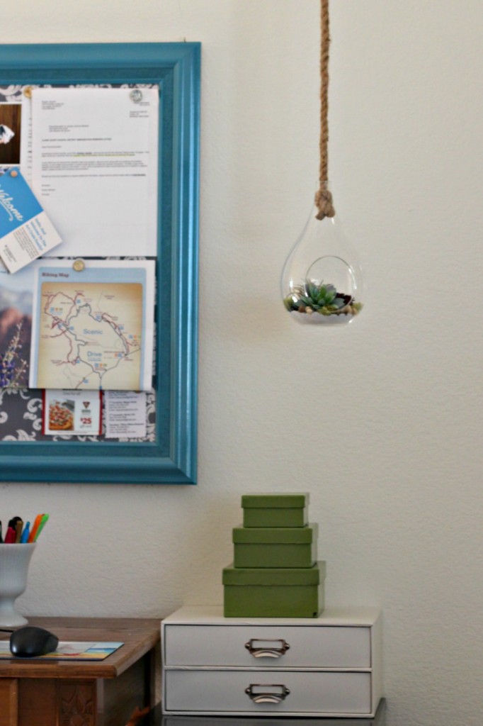 Hanging Succulent desk area