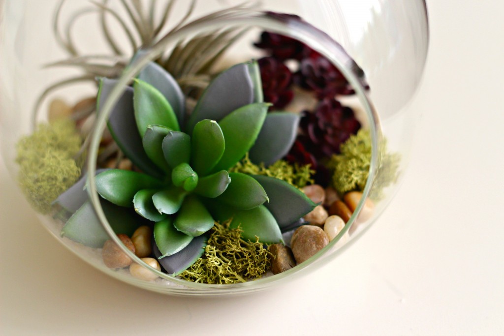 Hanging Succulent rocks and moss