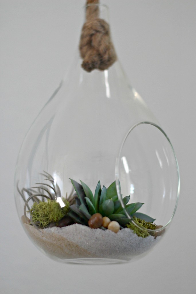 Hanging Succulent sand