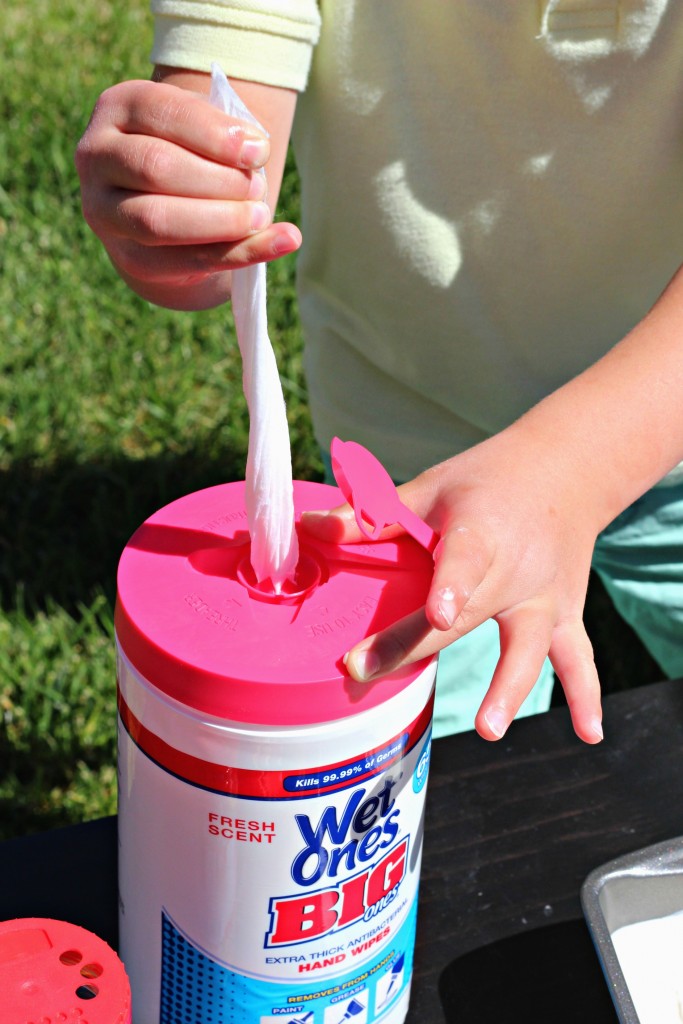 Homemade Ice Cream Wet Ones