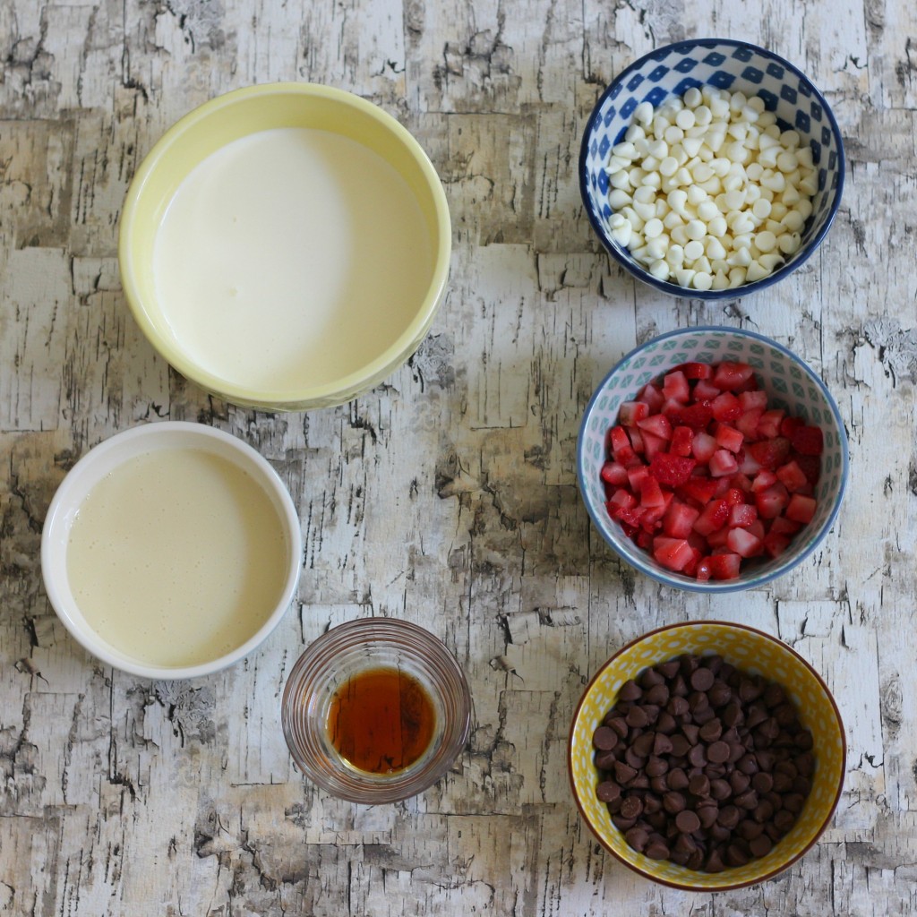 Homemade Ice Cream ingredients