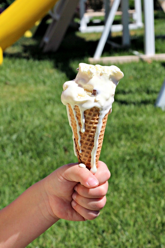 Homemade Ice Cream melted