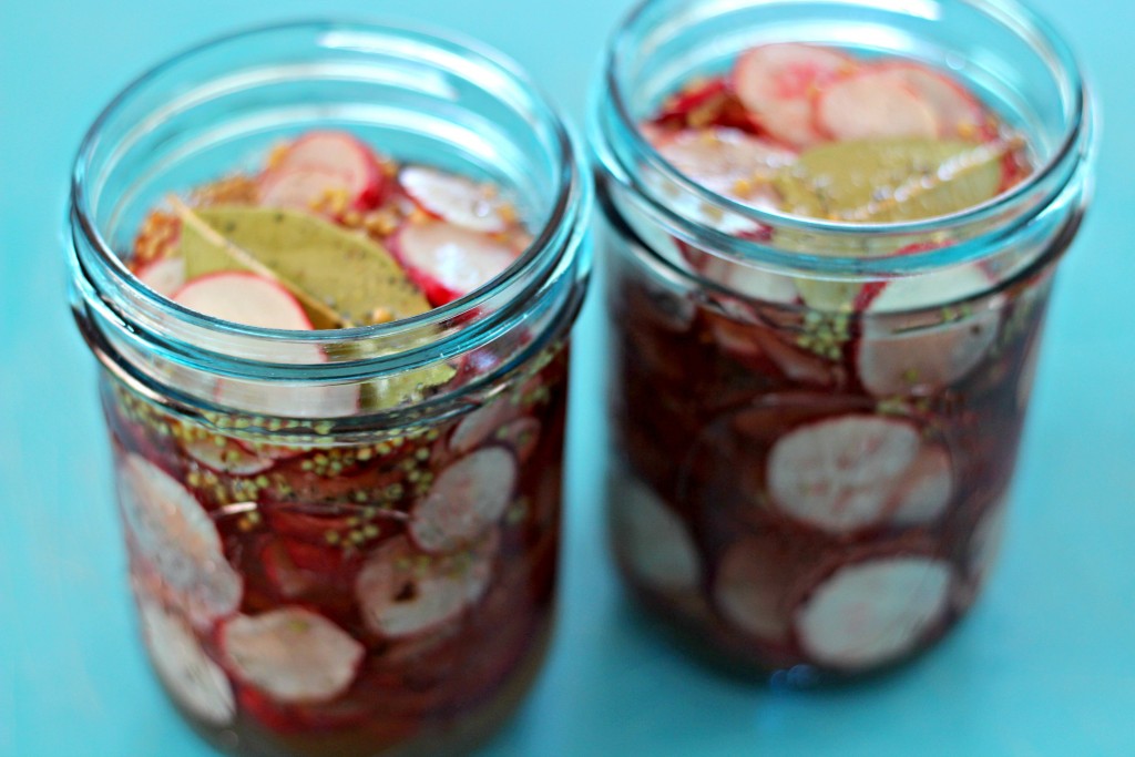 Sweet Pickled Radishes in Ball jars
