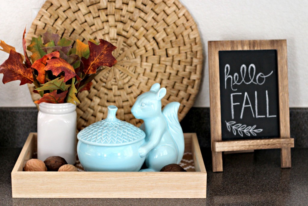 fall-home-tour-2016-kitchen-tray