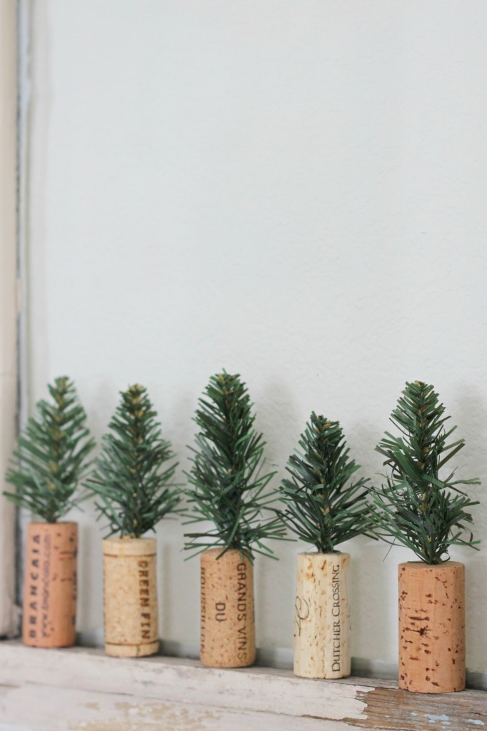 cork-trees-on-old-window