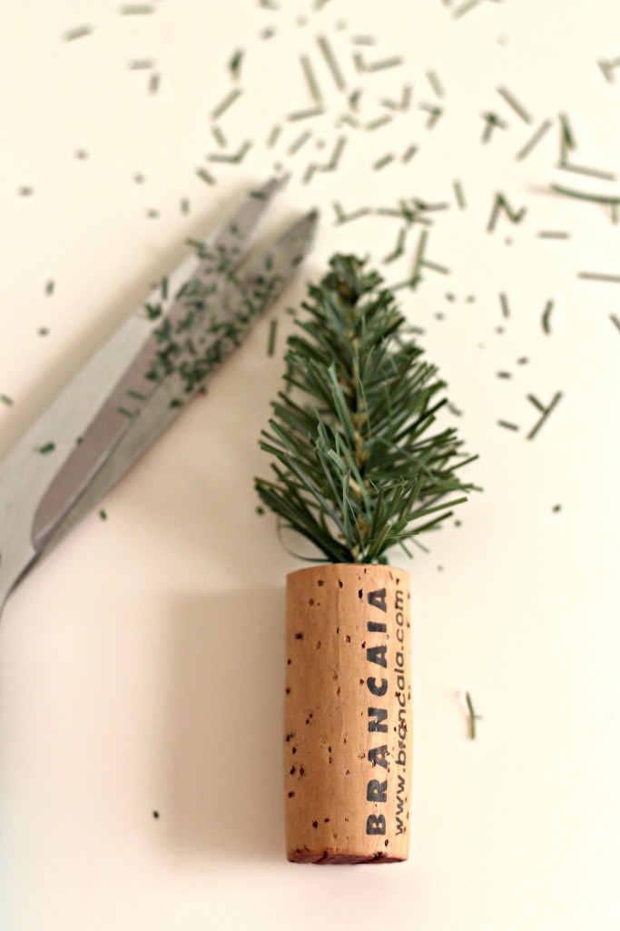 mini-cork-tree-being-trimmed