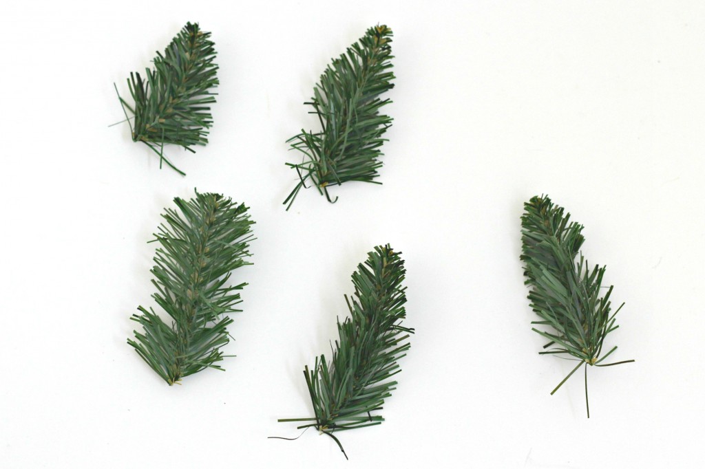 mini-cork-trees-pine-needles