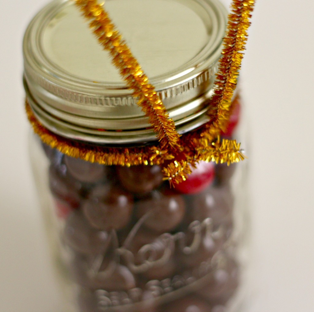 Reindeer Jars - Organize and Decorate Everything