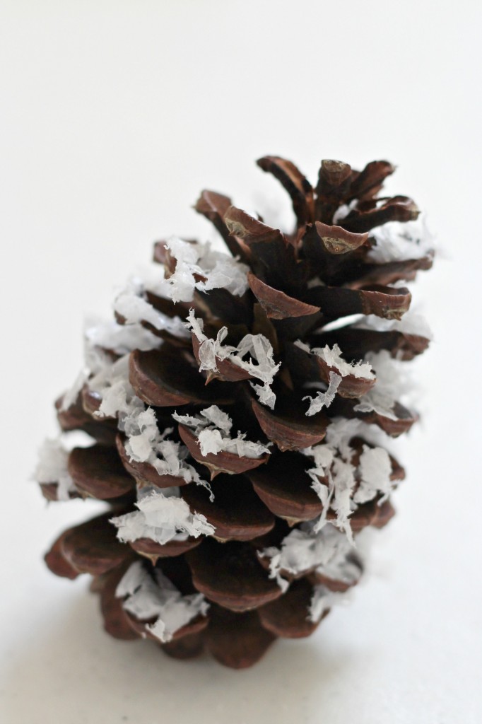 snowy-pine-cone-fake-snow