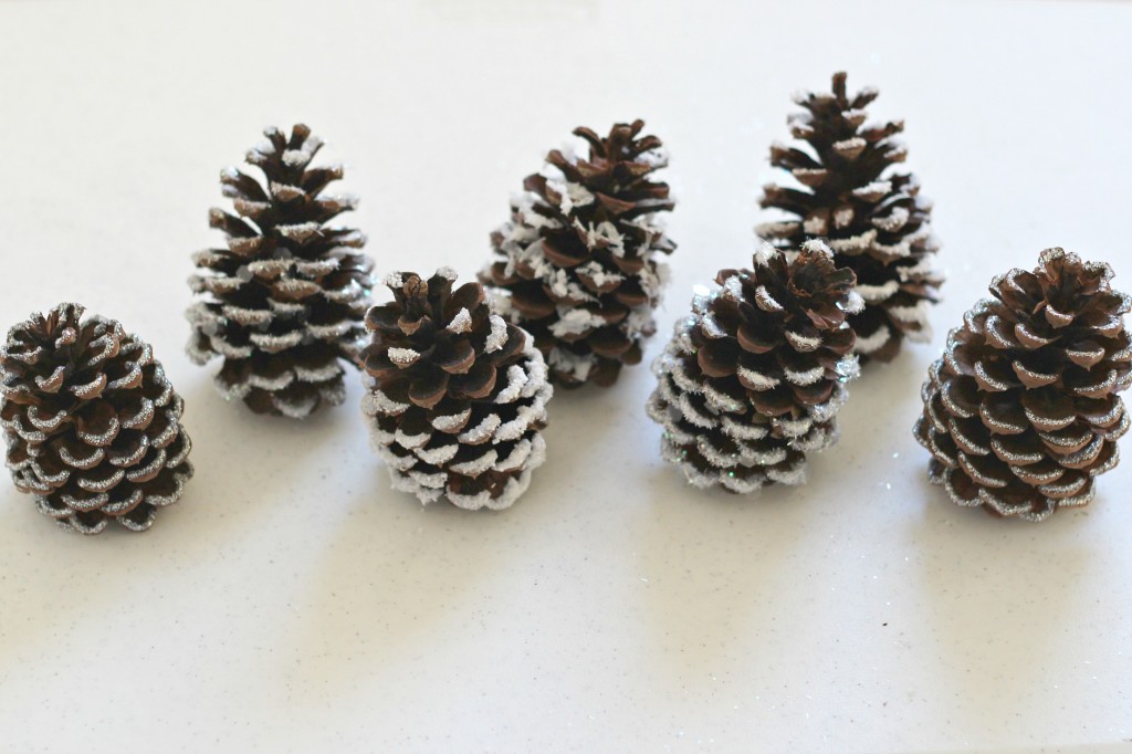 DIY Eco-Friendly Snow Pine Cones - Sew Historically