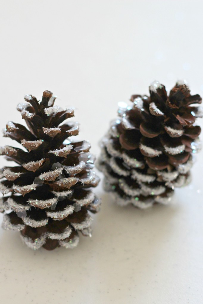 DIY Eco-Friendly Snow Pine Cones - Sew Historically