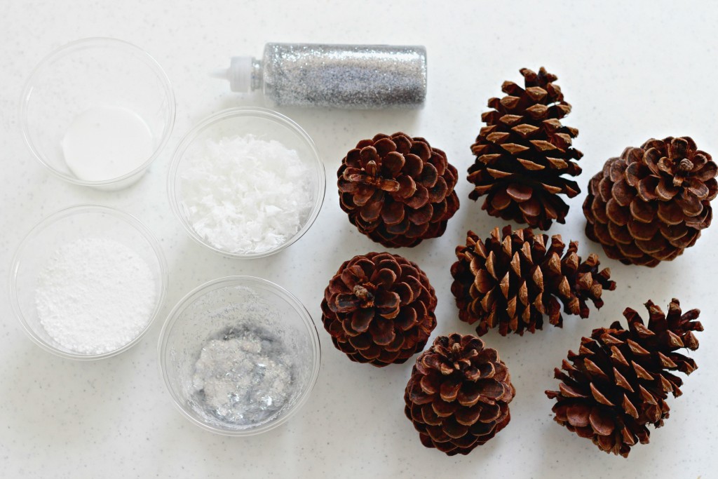 DIY Eco-Friendly Snow Pine Cones - Sew Historically
