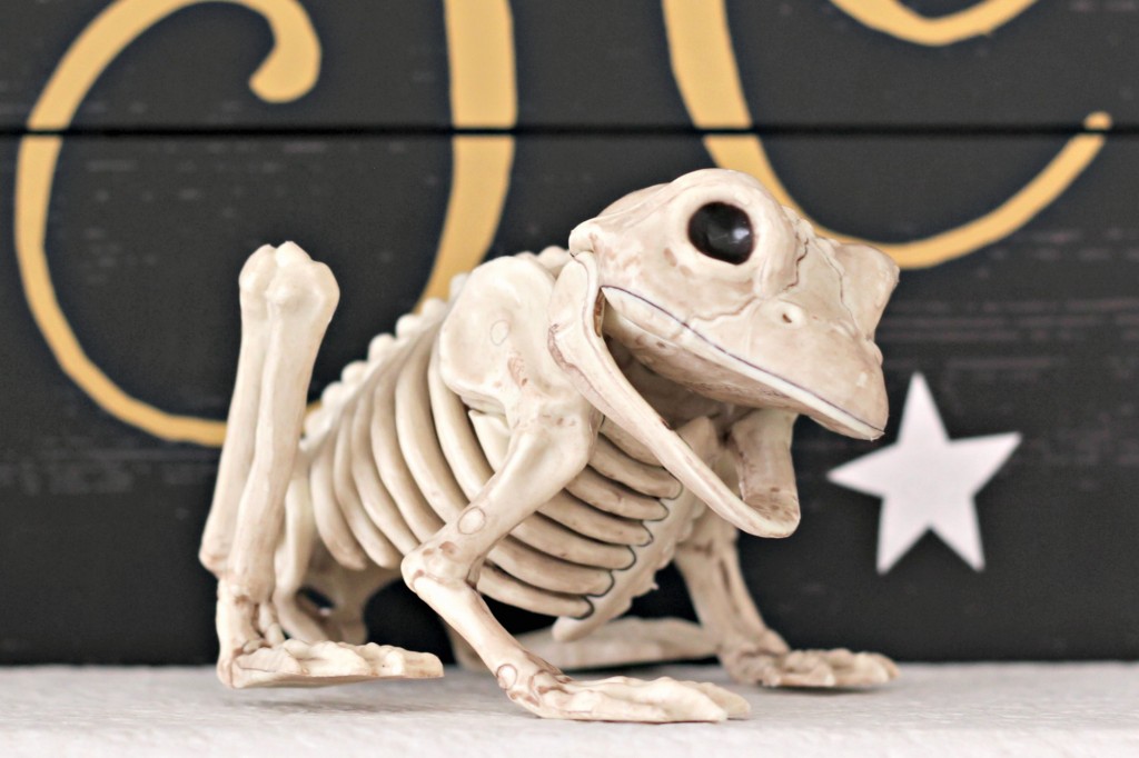 trick-or-treat-skeleton-frog