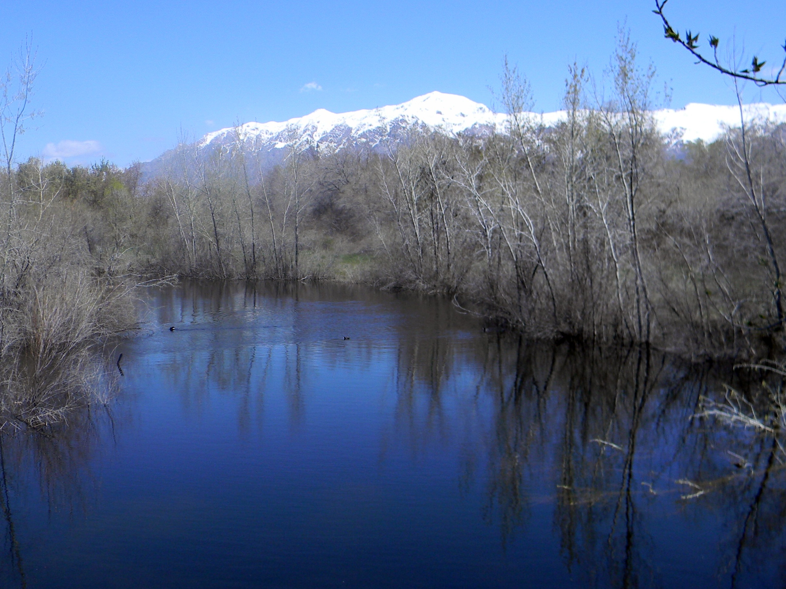 Ogden Nature Center: A Refuge For Nature Lovers