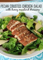 Pecan Crusted Chicken Salad with Honey Mustard Dressing – Food Contributor